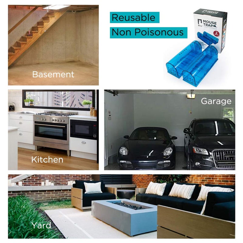 blinc فخ الفئران الإنساني | فخاخ لاصطياد وإطلاق الفئران تعمل | فخ للفئران بدون قتل آمن للحيوانات الأليفة (كلب/قط) أفضل فخ للفئران الداخلي/الخارجي غير قاتل قفص صغير للاصطياد (أزرق) - Image 5